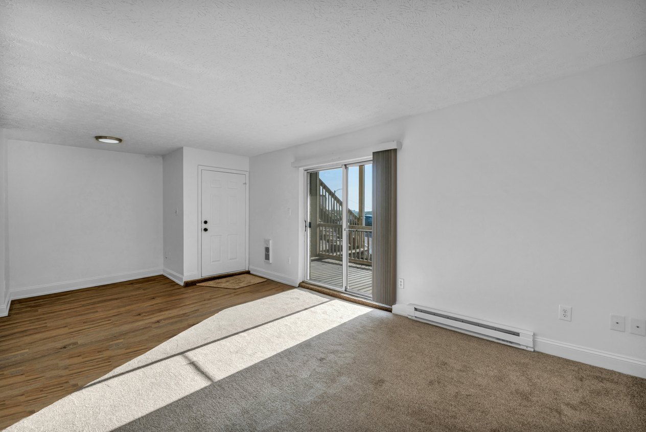 Séjour vide avec porte d'entrée, baie vitrée et moquette